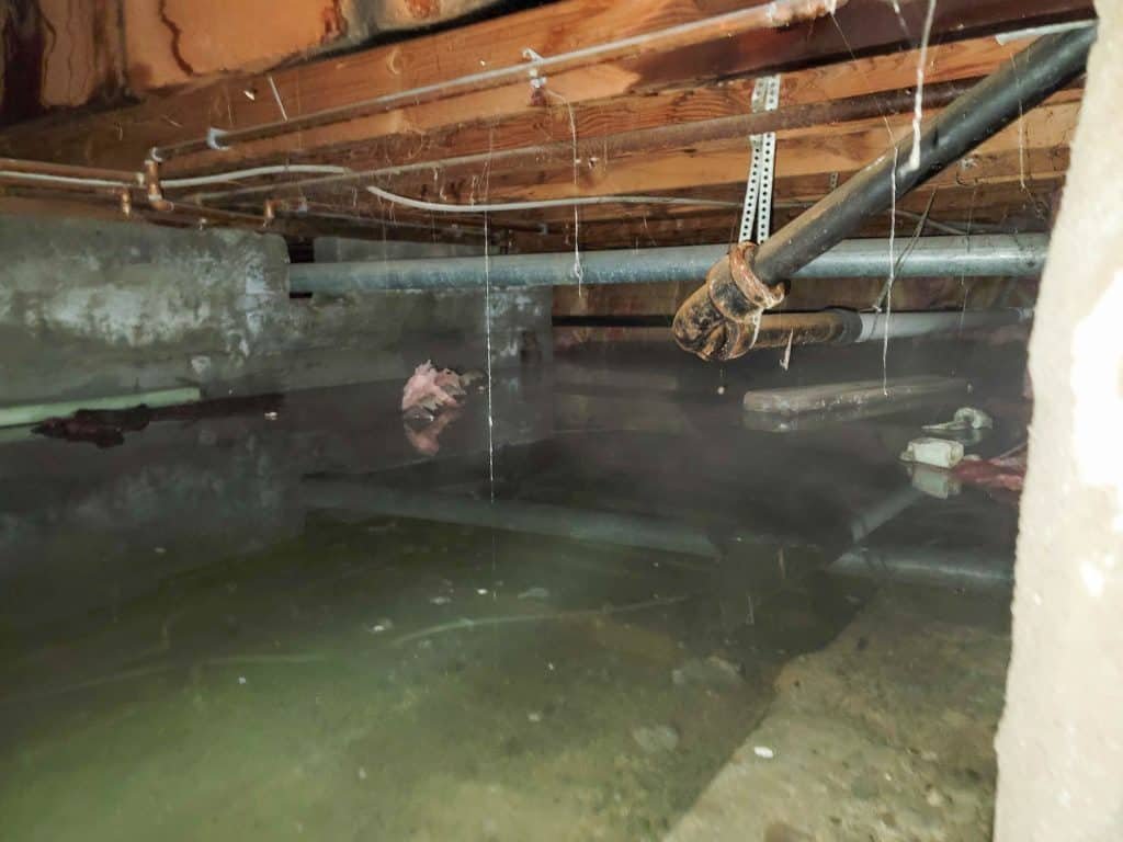 basement flooding Chicago IL
